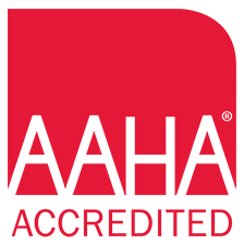 AAHA Accredited