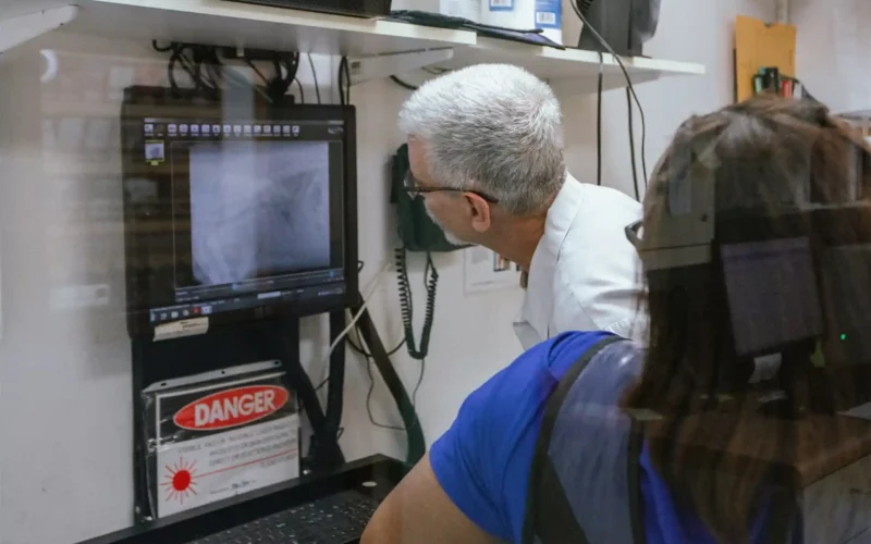 kitty-hawk-vet-x-ray-pet kitty-hawk-vet-x-ray-pet